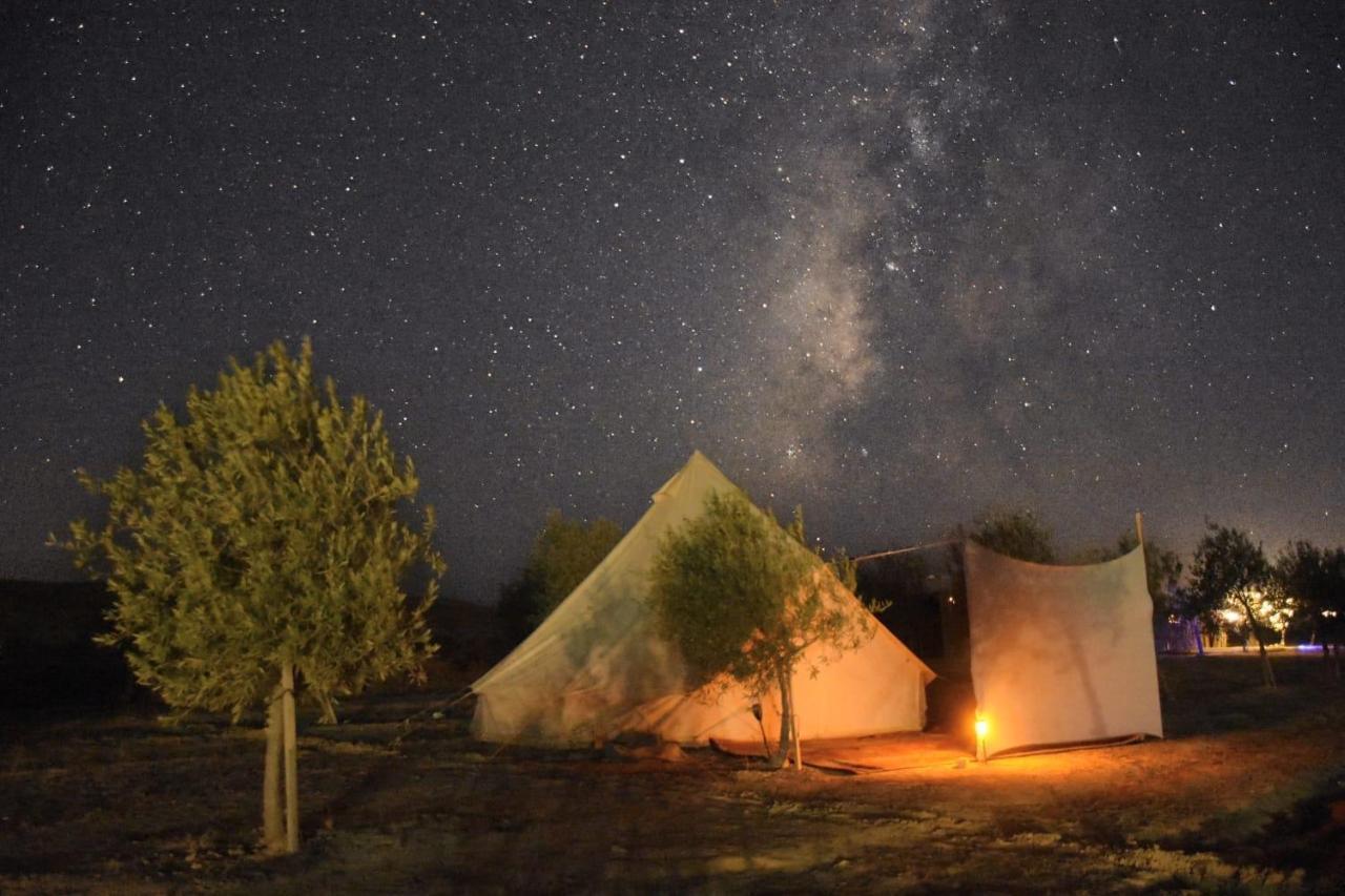 Готель Skyline Eco-Camp Міцпе-Рамон Екстер'єр фото